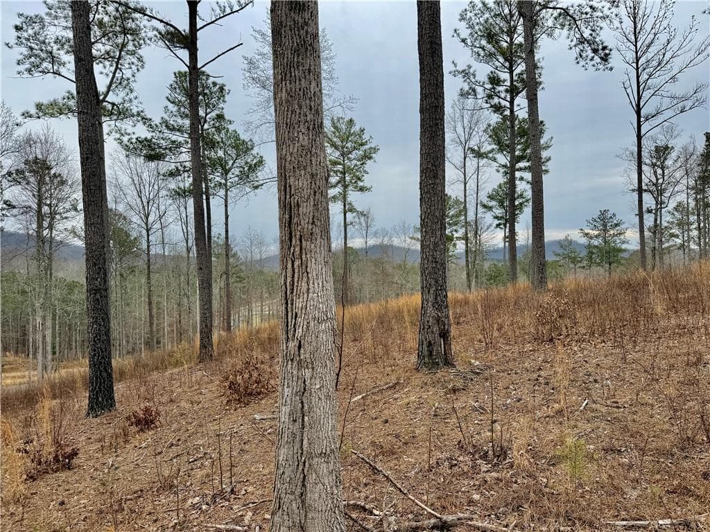 single family residence for sale at 347 Timbercreek Trail, Talking Rock, GA 30175 — photo 10