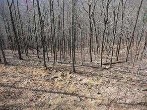 single family residence under contract at 101 Deer Run, Big Canoe, GA 30143 — photo 2