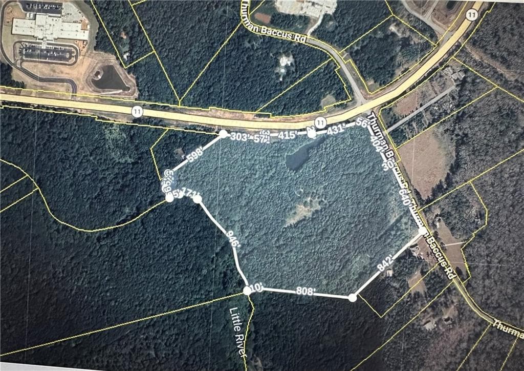 other for sale at 0 Thurman Baccus Road, Social Circle, GA 30025