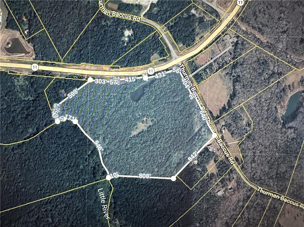 other for sale at 0 Thurman Baccus Road, Social Circle, GA 30025 — photo 2