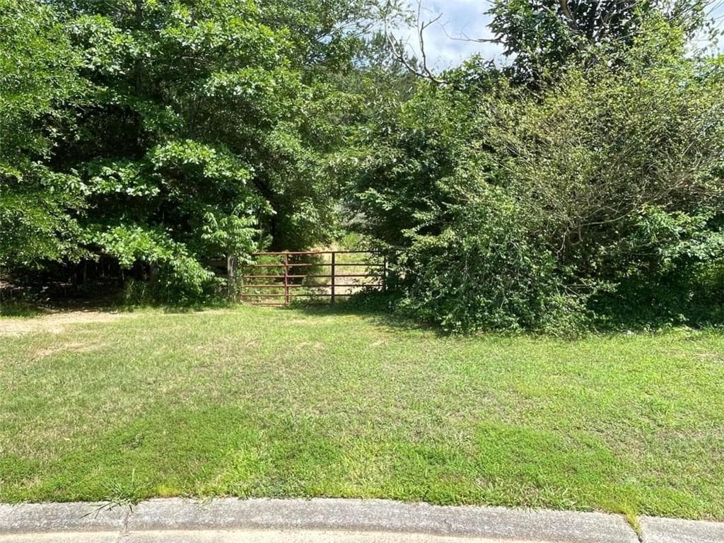 unimproved land for sale at 0 Fallen Branch Circle, Rome, GA 30161 — photo 3