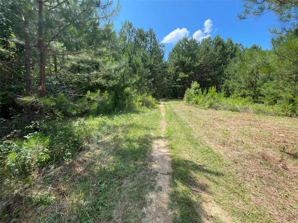 unimproved land for sale at 0 Fallen Branch Circle, Rome, GA 30161 — photo 5