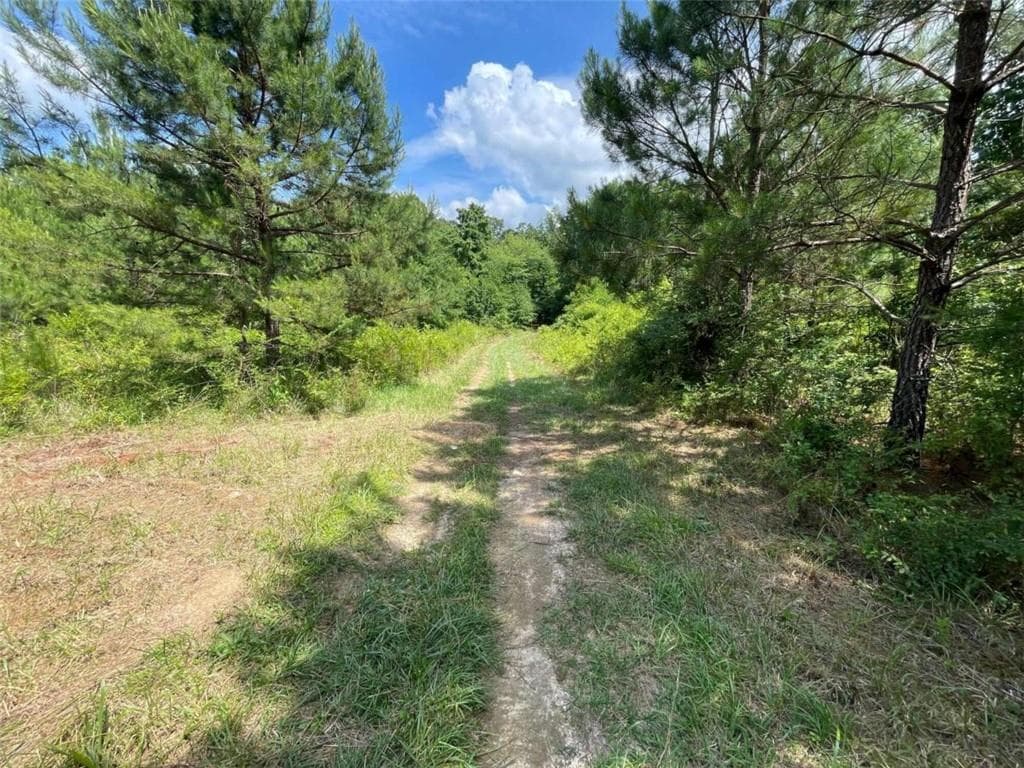 unimproved land for sale at 0 Fallen Branch Circle, Rome, GA 30161 — photo 6