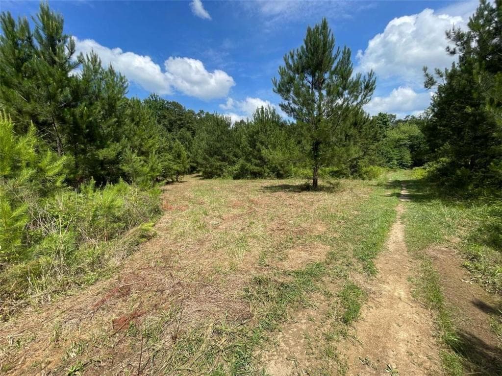 unimproved land for sale at 0 Fallen Branch Circle, Rome, GA 30161 — photo 7