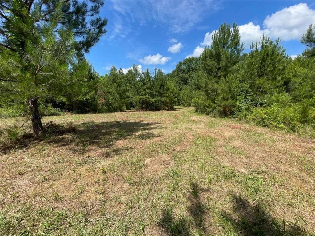 unimproved land for sale at 0 Fallen Branch Circle, Rome, GA 30161 — photo 8
