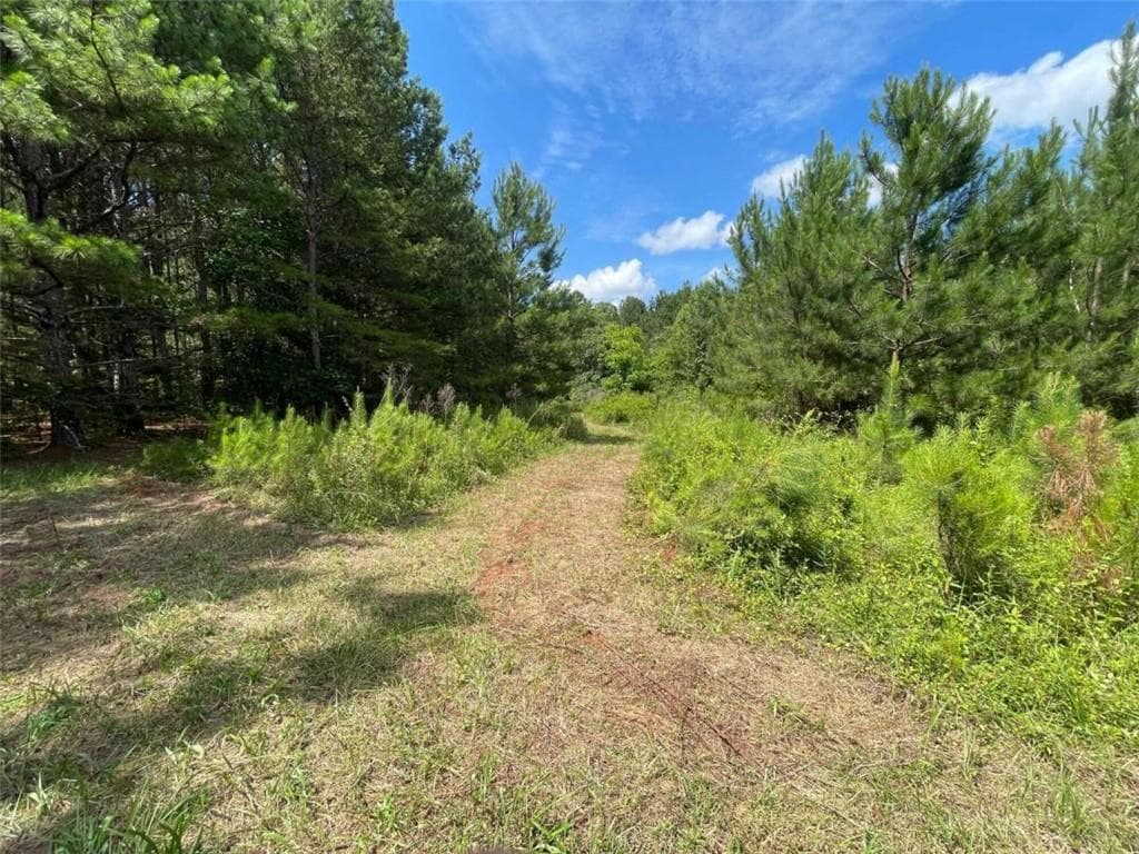 unimproved land for sale at 0 Fallen Branch Circle, Rome, GA 30161 — photo 9