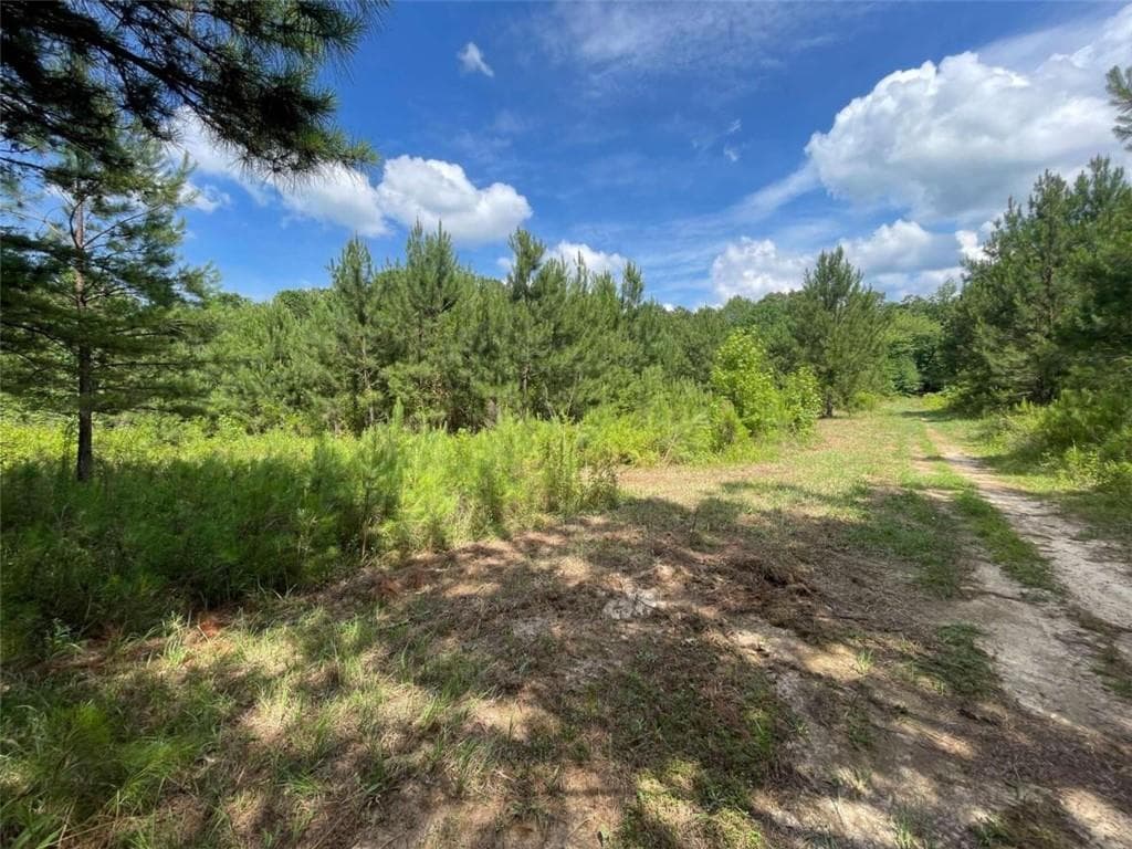unimproved land for sale at 0 Fallen Branch Circle, Rome, GA 30161 — photo 10