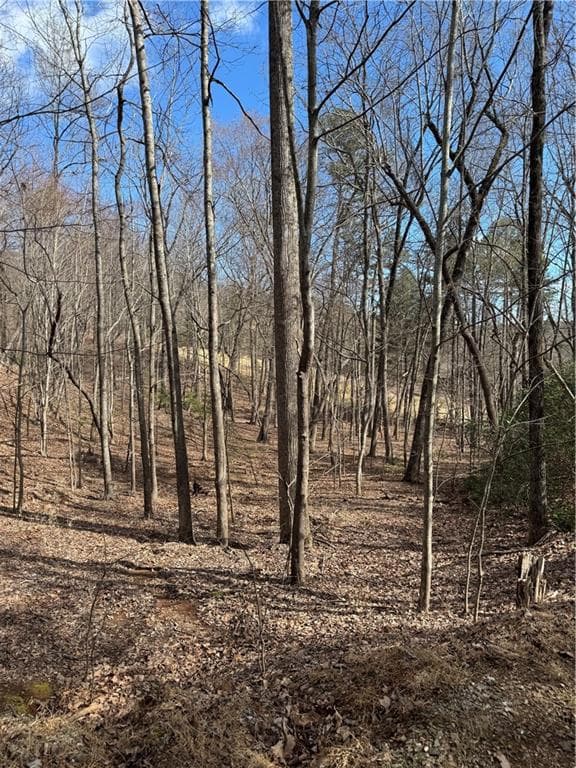 single family residence for sale at 2526 Turnbury Lane, Big Canoe, GA 30143 — photo 2