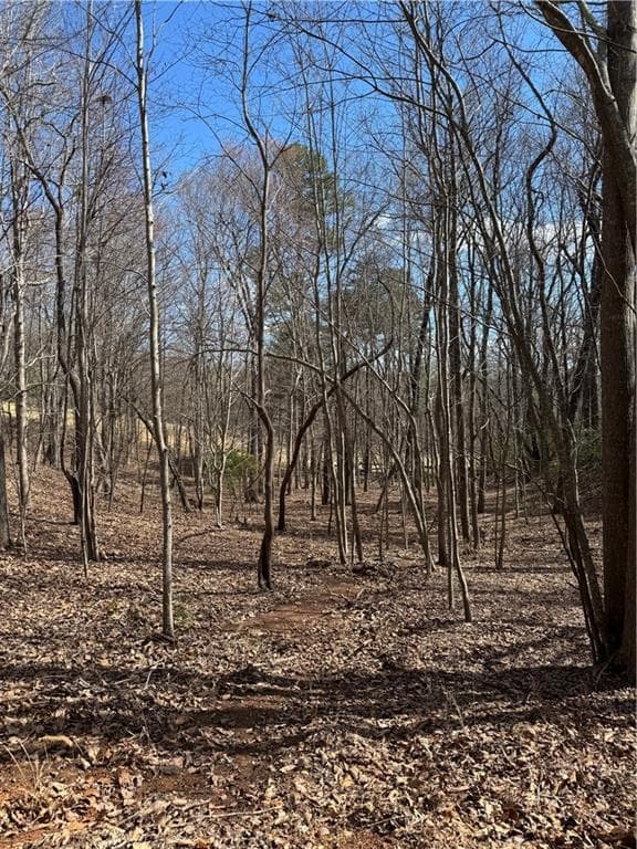 single family residence for sale at 2526 Turnbury Lane, Big Canoe, GA 30143 — photo 3