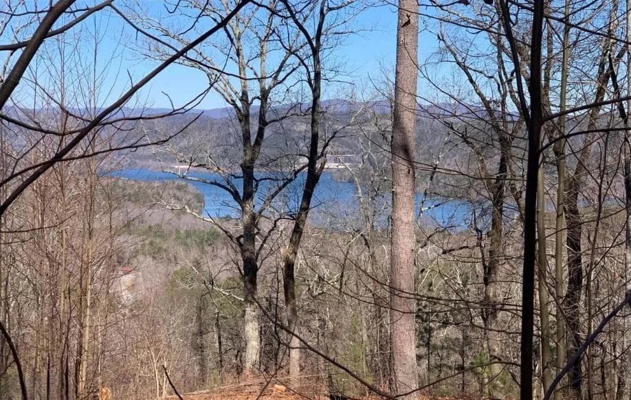 single family residence for sale at 325 Adair Drive, Ranger, GA 30734 — photo 1 of 21