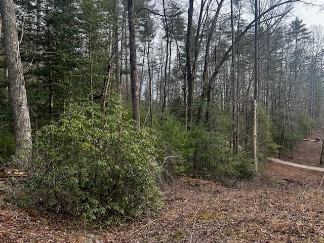 single family residence sold at 0 Corinth Church Road, Cleveland, GA 30528