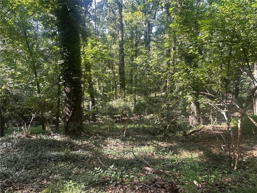 unimproved land for sale at 112 Cherry, 0 Cherry Street, Roswell, GA 30075 — photo 3