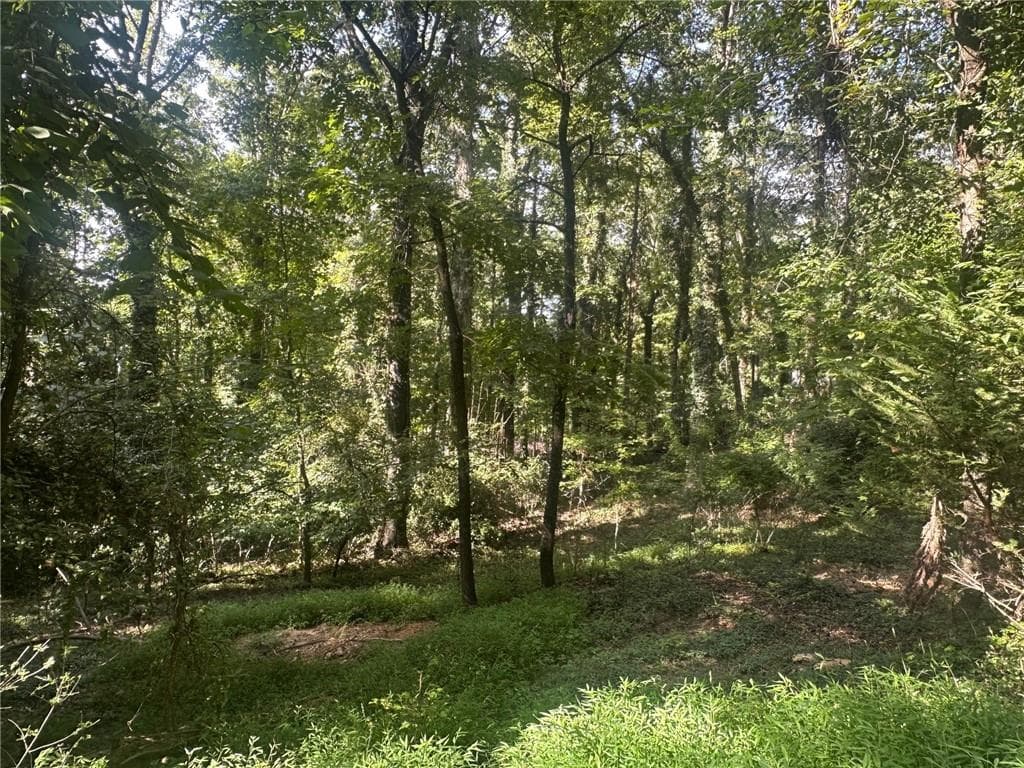 unimproved land for sale at 112 Cherry, 0 Cherry Street, Roswell, GA 30075 — photo 4