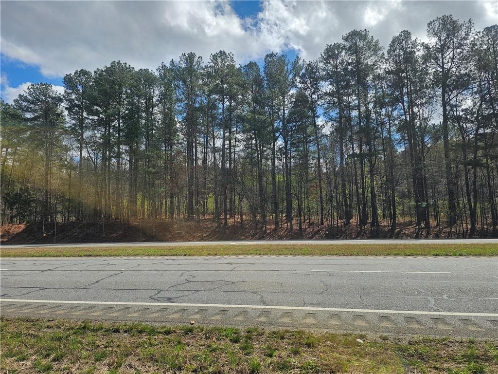 unimproved land for sale at 000 Alabama Highway, Rome, GA 30165 — photo 6