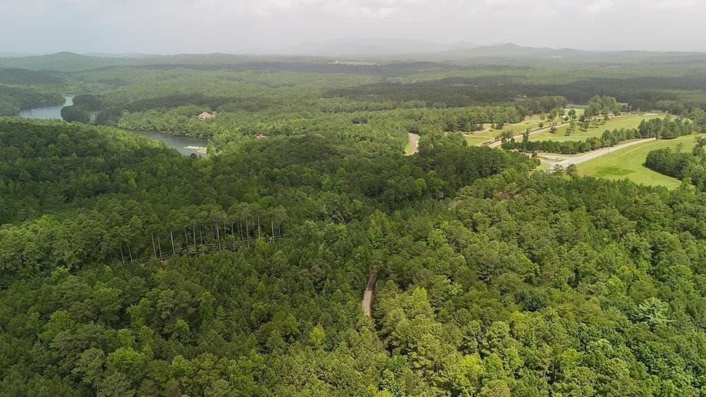 unimproved land for sale at 0 Cowart Road, Dawsonville, GA 30534