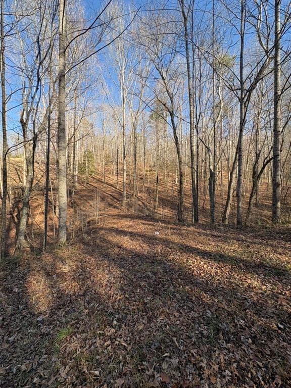 unimproved land for sale at 0 Gold View Drive, Dahlonega, GA 30533 — photo 1 of 12