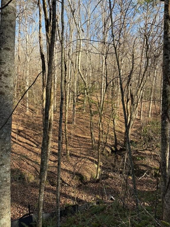 unimproved land for sale at 0 Gold View Drive, Dahlonega, GA 30533 — photo 2
