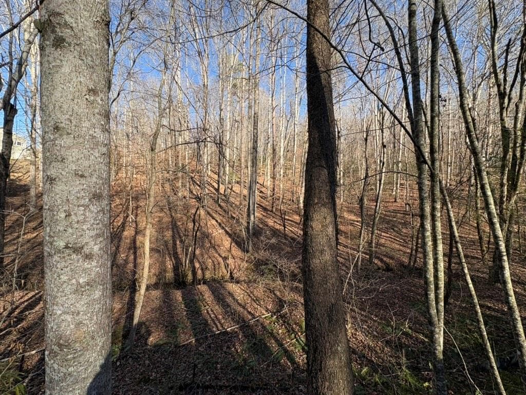 unimproved land for sale at 0 Gold View Drive, Dahlonega, GA 30533 — photo 3