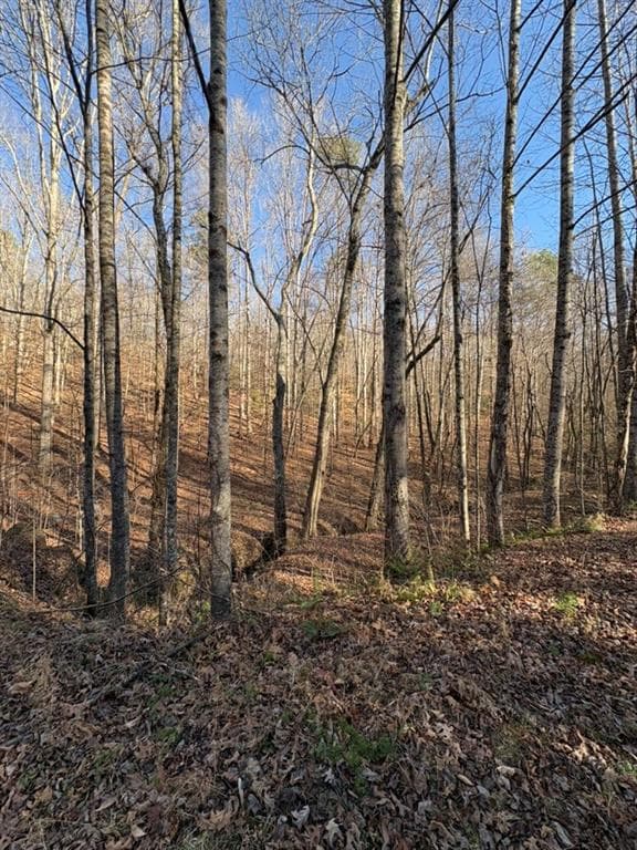 unimproved land for sale at 0 Gold View Drive, Dahlonega, GA 30533 — photo 4