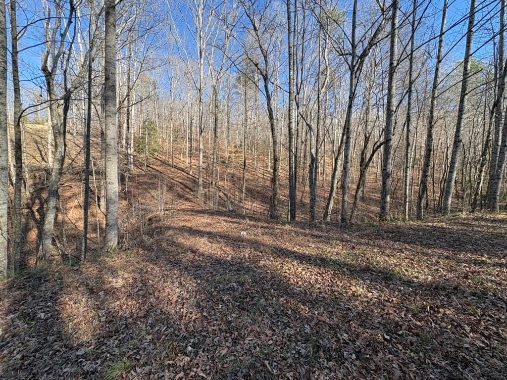 unimproved land for sale at 0 Gold View Drive, Dahlonega, GA 30533 — photo 5