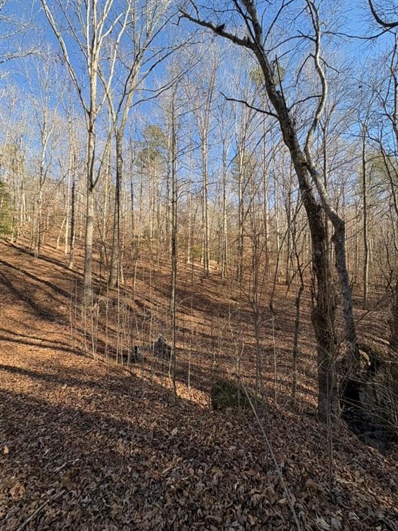 unimproved land for sale at 0 Gold View Drive, Dahlonega, GA 30533 — photo 6