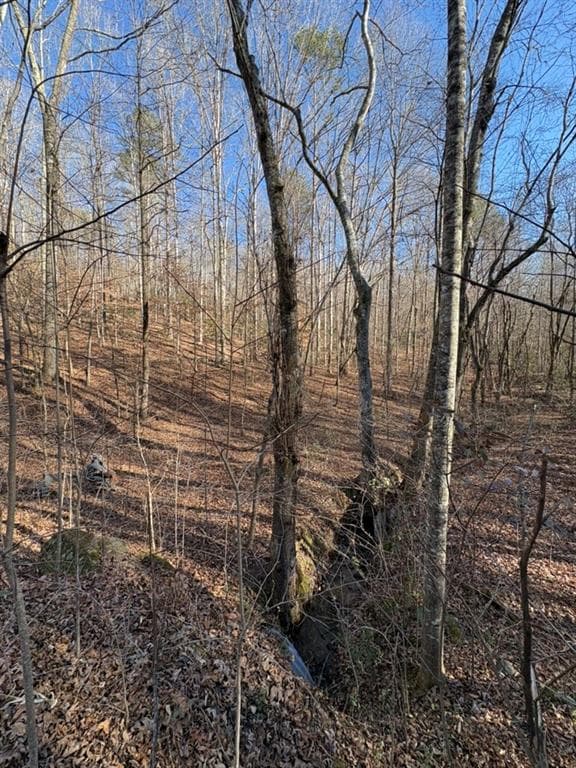 unimproved land for sale at 0 Gold View Drive, Dahlonega, GA 30533 — photo 7