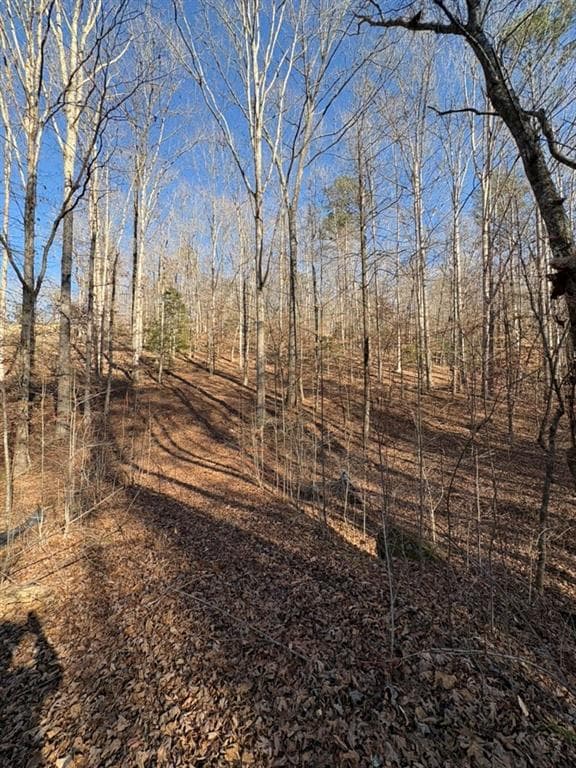 unimproved land for sale at 0 Gold View Drive, Dahlonega, GA 30533 — photo 8