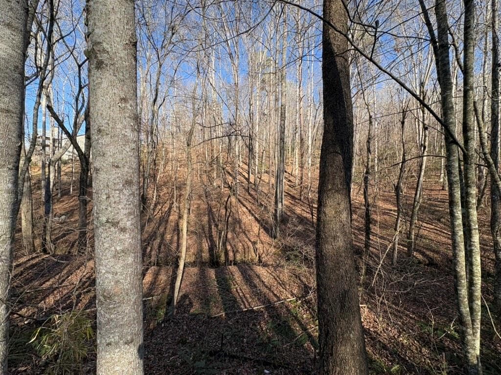 unimproved land for sale at 0 Gold View Drive, Dahlonega, GA 30533 — photo 9