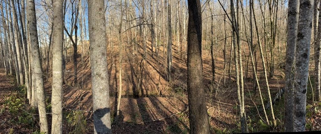 unimproved land for sale at 0 Gold View Drive, Dahlonega, GA 30533 — photo 10