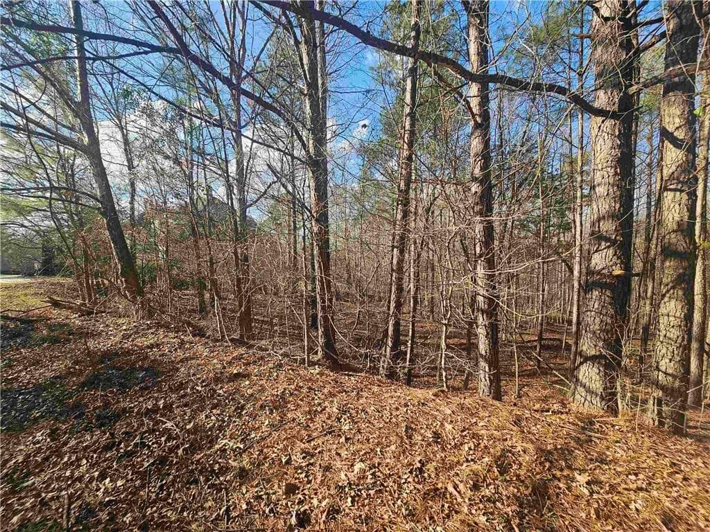 single family residence for sale at 1628 Norris Landing Drive, Snellville, GA 30039 — photo 5