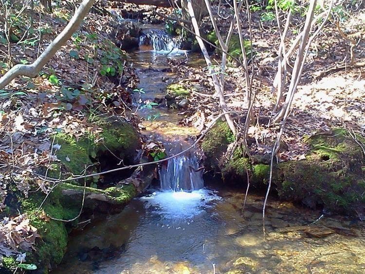 single family residence for sale at 156 Cold Stream Trail, Jasper, GA 30143 — photo 2