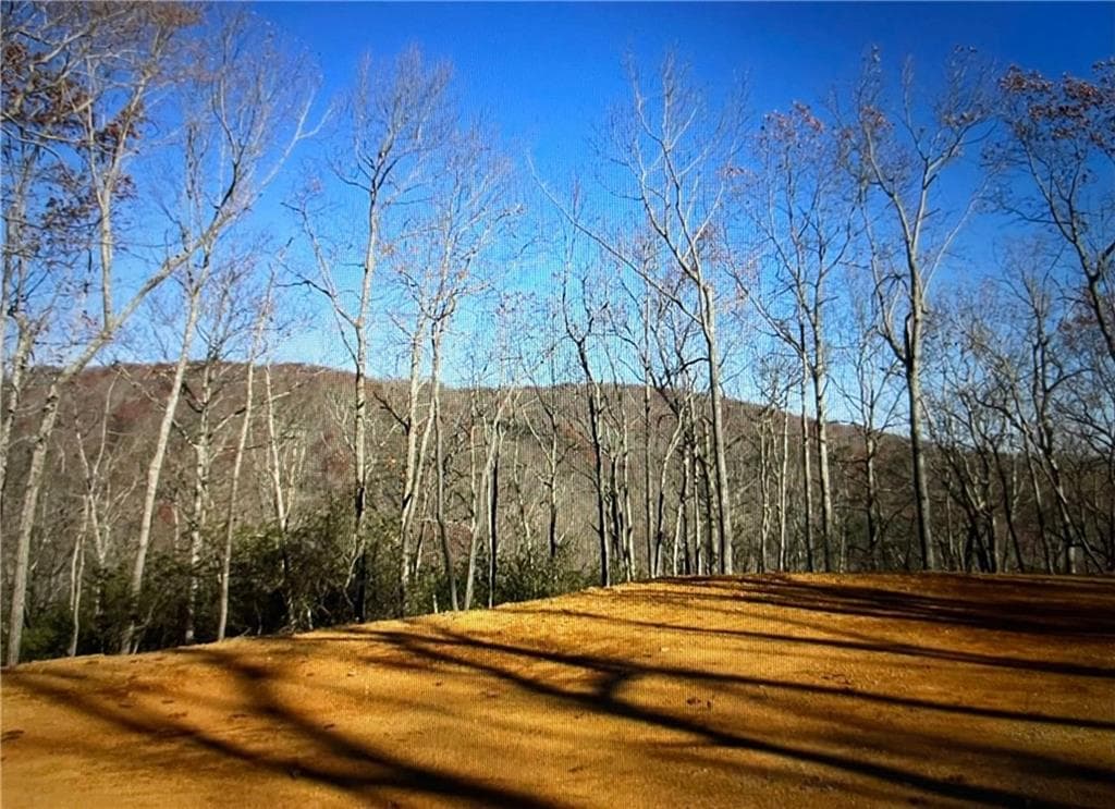 single family residence for sale at 156 Cold Stream Trail, Jasper, GA 30143 — photo 8