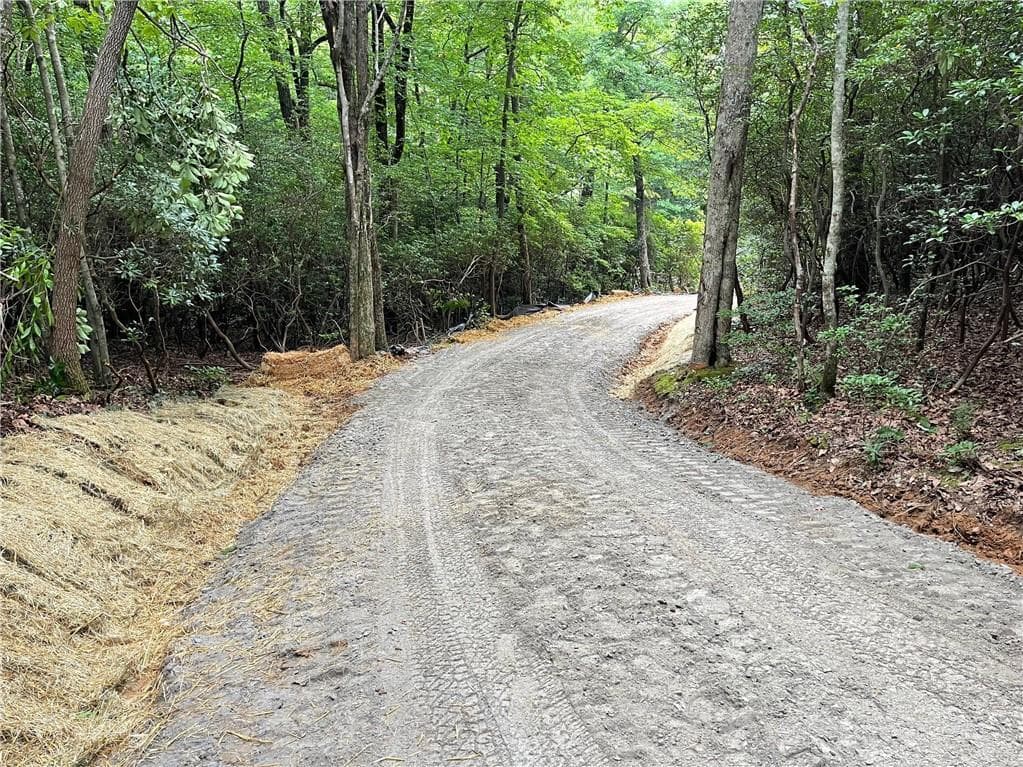 single family residence for sale at 156 Cold Stream Trail, Jasper, GA 30143 — photo 3