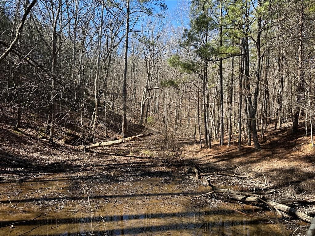 unimproved land for sale at 3472 Prior Station Road, Cedartown, GA 30125