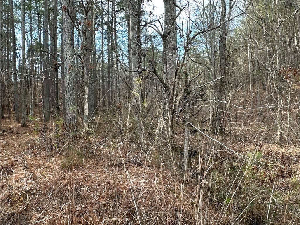 unimproved land for sale at 3472 Prior Station Road, Cedartown, GA 30125 — photo 2