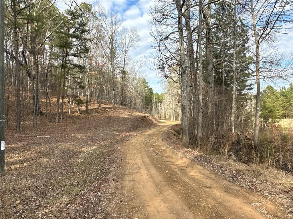 unimproved land for sale at 3472 Prior Station Road, Cedartown, GA 30125 — photo 3