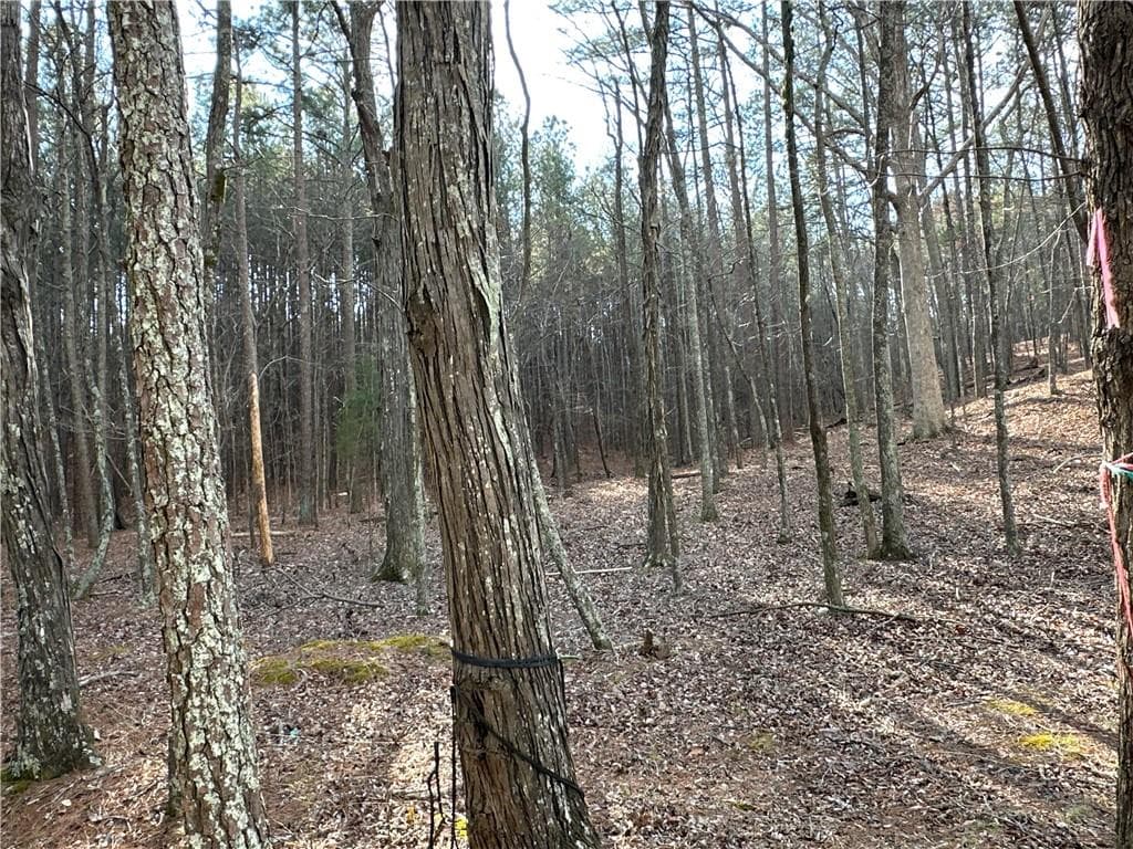 unimproved land for sale at 3472 Prior Station Road, Cedartown, GA 30125 — photo 5