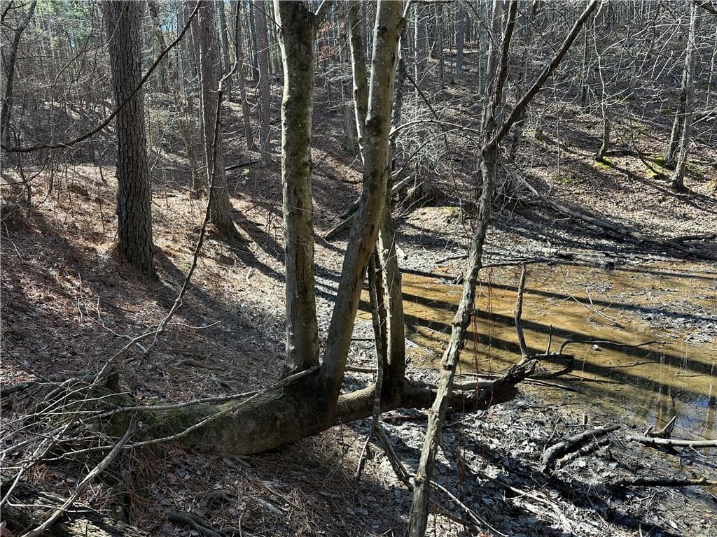 unimproved land for sale at 3472 Prior Station Road, Cedartown, GA 30125 — photo 7