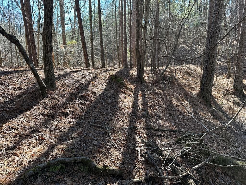 unimproved land for sale at 3472 Prior Station Road, Cedartown, GA 30125 — photo 9