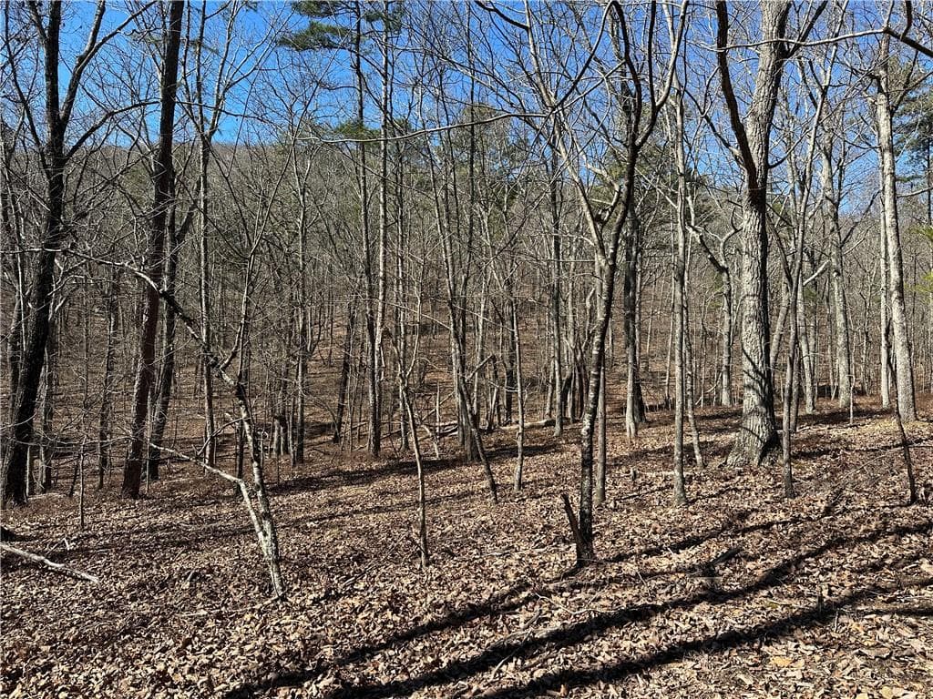 unimproved land for sale at 3472 Prior Station Road, Cedartown, GA 30125 — photo 10