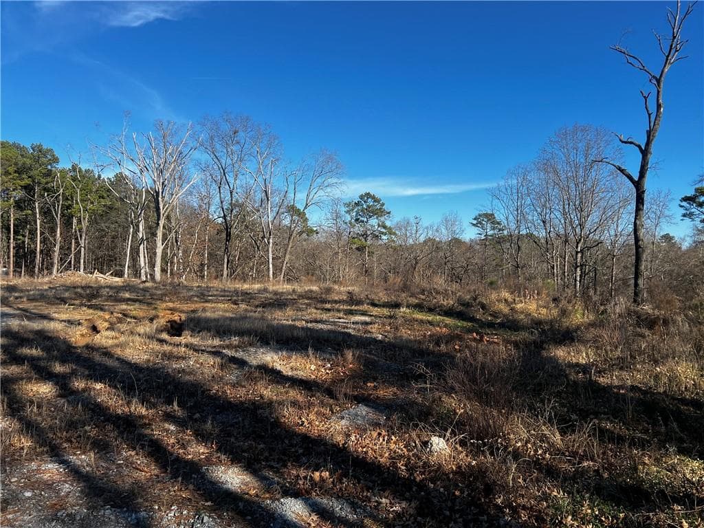 other for sale at 3092 Miller Road, Lithonia, GA 30038 — photo 4