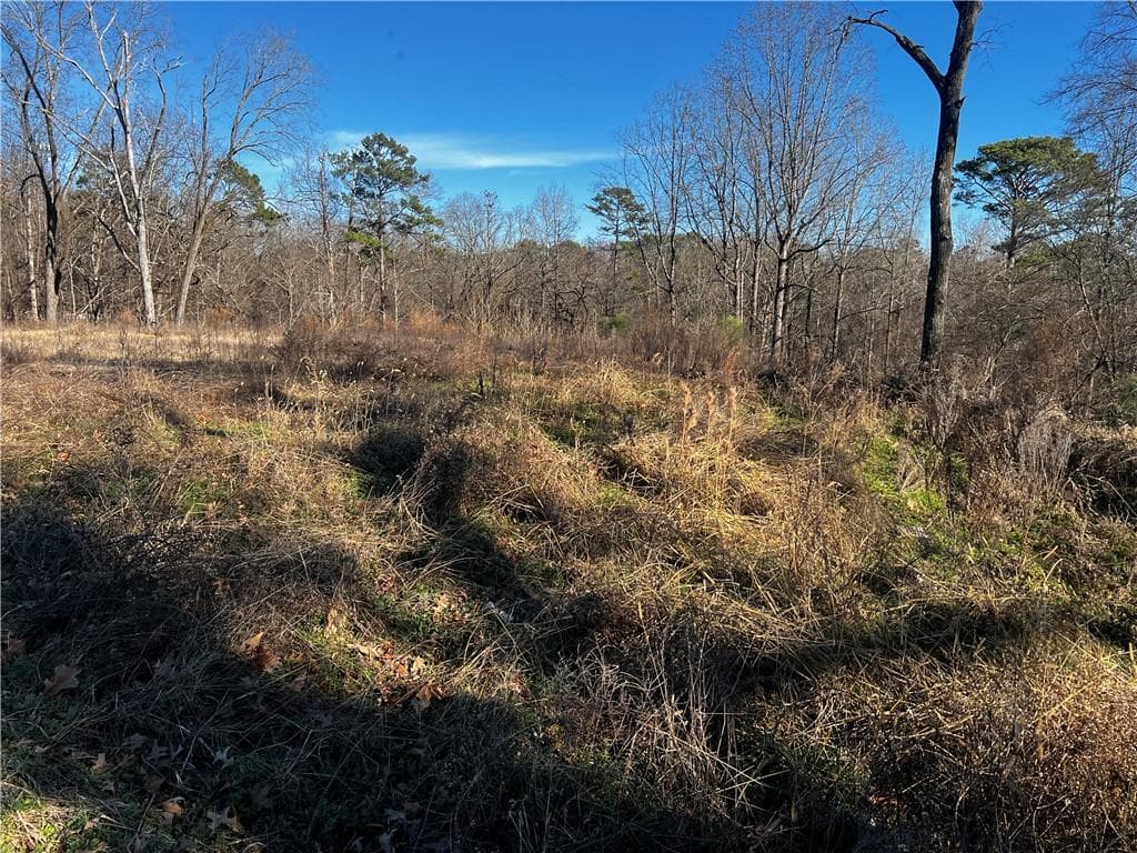 other for sale at 3092 Miller Road, Lithonia, GA 30038 — photo 7