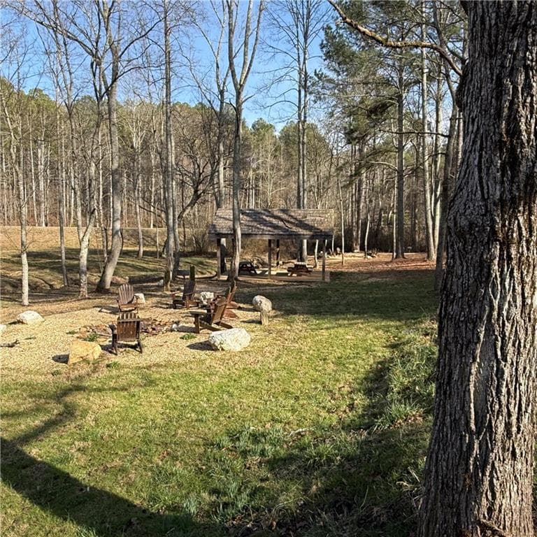 unimproved land for sale at 316 Pebble Trace Street, Ellijay, GA 30540 — photo 3