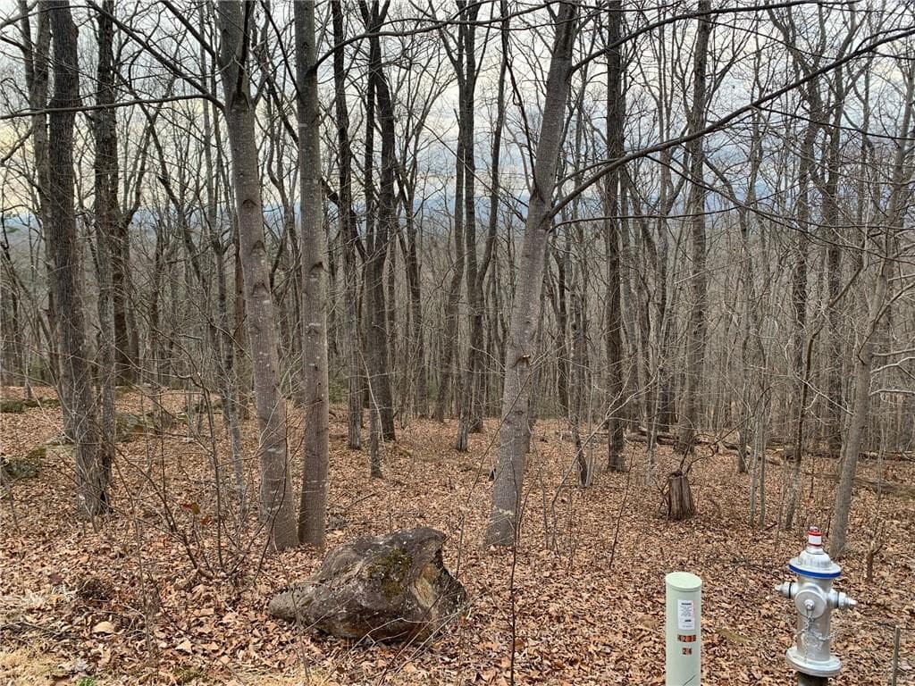 single family residence for sale at Lot 29 Long Mountain Trail, Cleveland, GA 30528 — photo 4