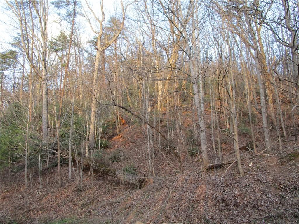single family residence for sale at Lot 49 Long Mountain Trail, Cleveland, GA 30528 — photo 4