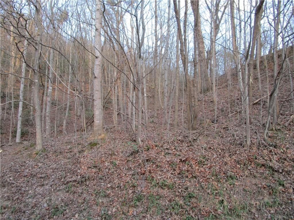 single family residence for sale at Lot 49 Long Mountain Trail, Cleveland, GA 30528 — photo 5