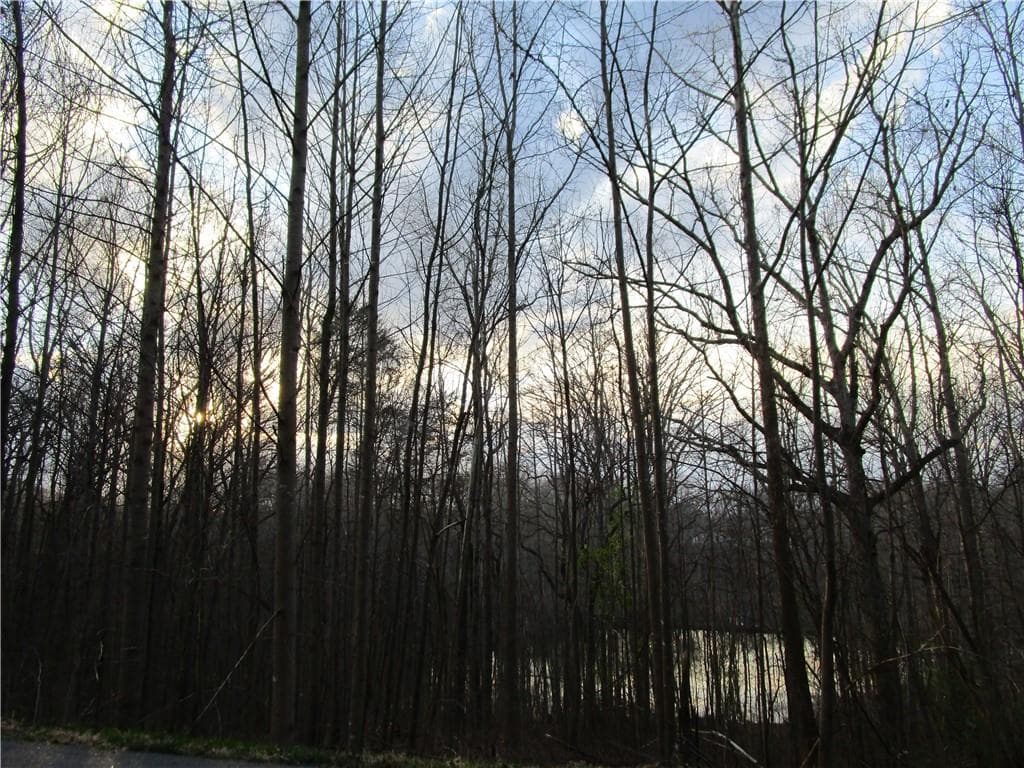 single family residence for sale at Lot 49 Long Mountain Trail, Cleveland, GA 30528 — photo 6