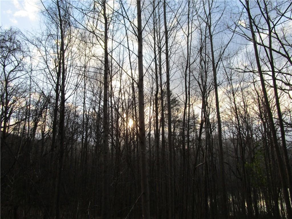 single family residence for sale at Lot 49 Long Mountain Trail, Cleveland, GA 30528 — photo 7