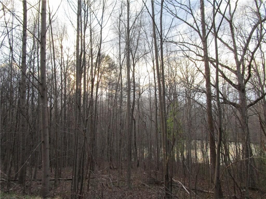 single family residence for sale at Lot 49 Long Mountain Trail, Cleveland, GA 30528 — photo 8