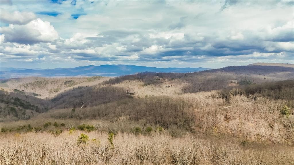 1 bedroom unimproved land for sale at 21 Andes Ridge, Jasper, GA 30143 — photo 4